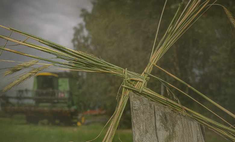 Welcome Day, making a St. Brigid’s Cross