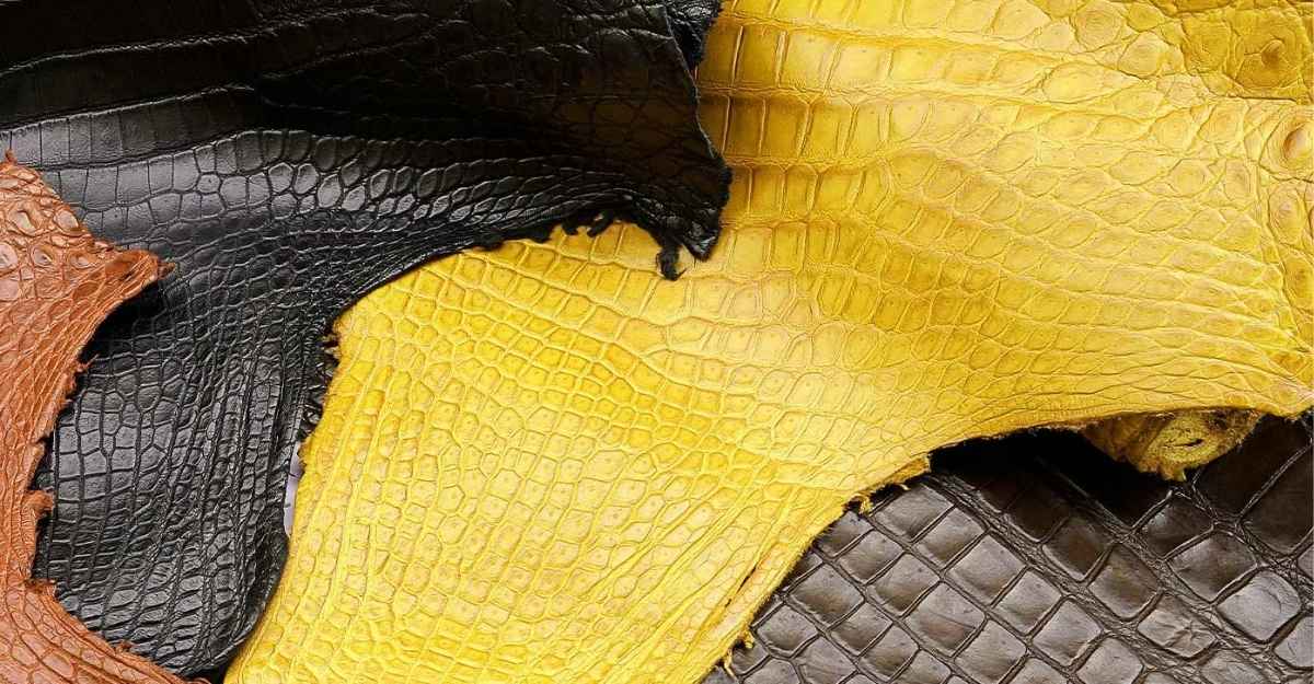 Exotic Leathers