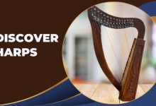 Let’s Discover Harps With Their Shapes and Traits!
