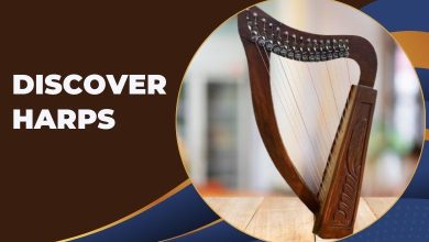 Let’s Discover Harps With Their Shapes and Traits!