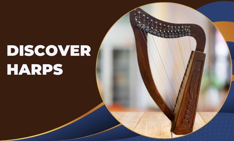Let’s Discover Harps With Their Shapes and Traits!
