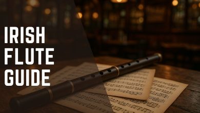 An Irish Flute Guide