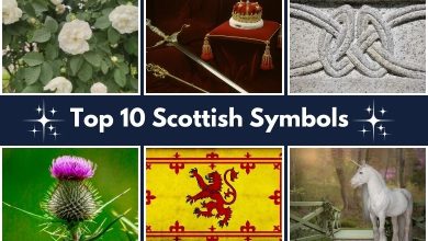 Top 10 Scottish Symbols and What They Look Like!
