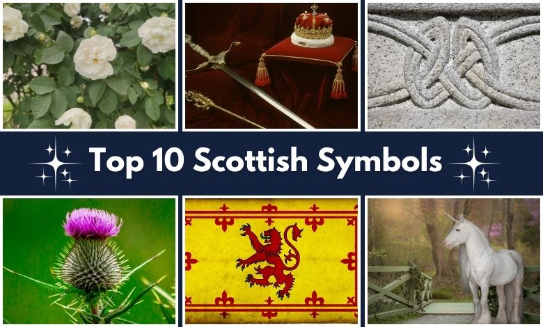 Top 10 Scottish Symbols and What They Look Like!