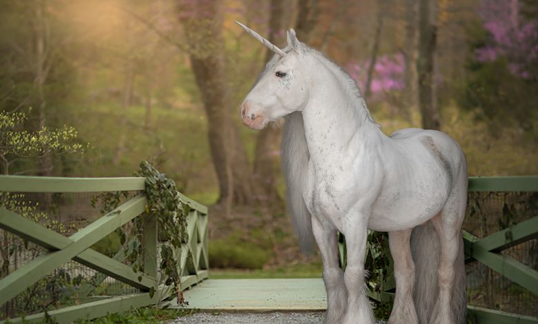 Unicorn